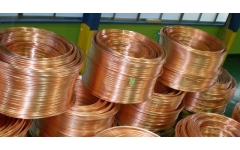 Đồng trần Phi 8